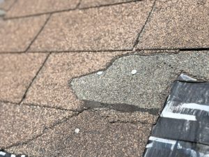 Top Reasons to Leave Roofing Repair to Professional Contractors