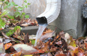 Do Downspouts Truly Matter?